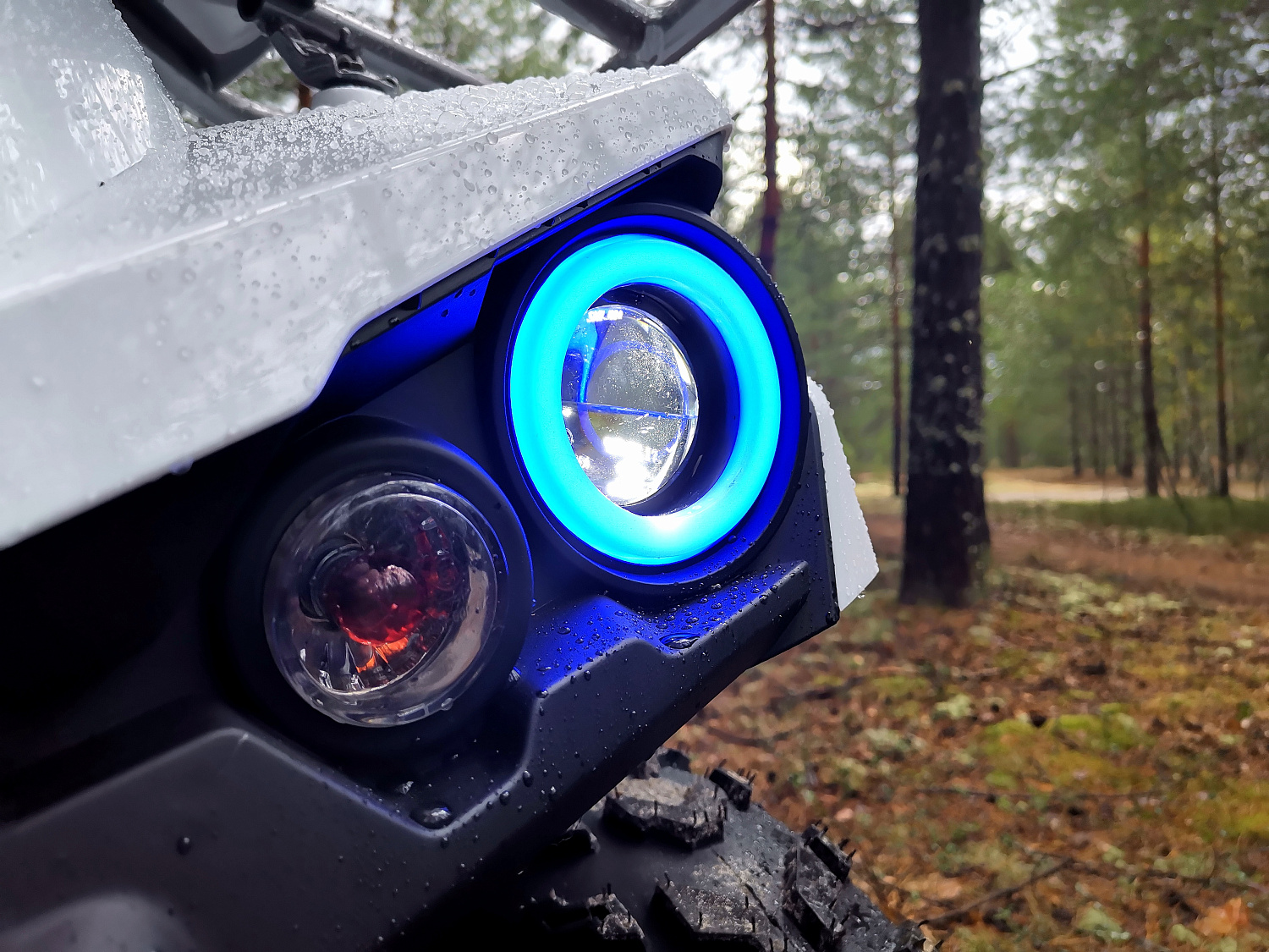 Квадроцикл PROMAX RENEGADE 280 (2025) в Рубцовске