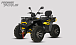Квадроцикл PROMAX TAURUS 300 MAX-PRO LONG в Рубцовске